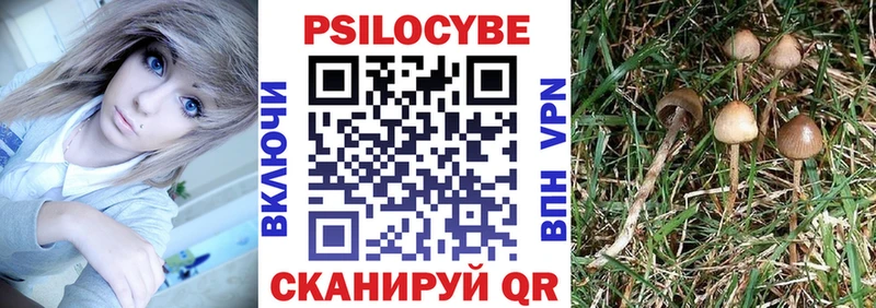 Псилоцибиновые грибы мухоморы  Купить  Скопин 