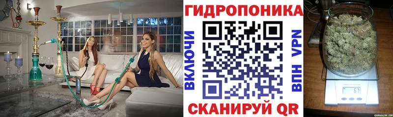 Бошки марихуана гибрид  Купить закладки  Скопин 